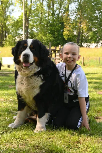 Bernedoodle bij gastgezin